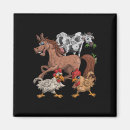 Search for cow and chicken magnets Feathers