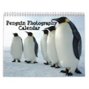 Search for penguins calendars Emperor penguin