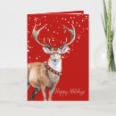 Search for collar cards Red