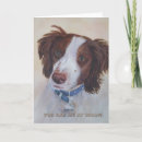 Search for expressive eyes Retriever