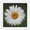 Search for raindrop magnets Photography