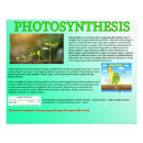 Search for photosynthesis posters Educational