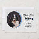 Search for dog moving announcement cards New address