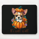 Search for jack skellington mousepads Witch