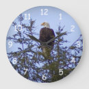 Search for american eagle clocks Nature