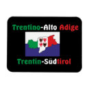 Search for alto magnets Adige