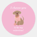 Search for chew stickers Pink