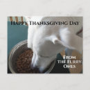 Search for dog waiting postcards Funny