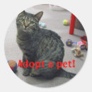 Search for pet adoption stickers Cat
