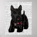 Search for scottish terrier posters Black dog