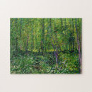 Search for undergrowth Forest