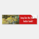 Search for ethnicity bumper stickers Polish