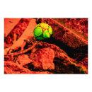 Search for abstract soccer posters Texture