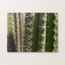 Search for cactus puzzles Photography