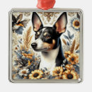 Search for rat terrier christmas tree decorations Dogs