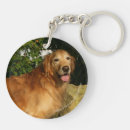 Search for goldie key rings Flat coated golden