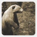 Search for vintage hunting stickers Wildlife