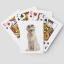 Search for funny moustache playing cards White