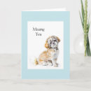 Search for shih tzu cards Small
