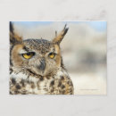 Search for captive postcards Wildlife