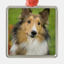 Search for rough collie christmas tree decorations Pet
