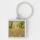 Search for road tree key rings Nature