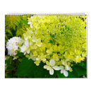 Search for hydrangea calendars Photography