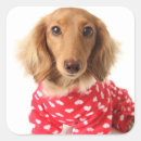 Search for valentine puppy stickers Animal