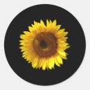 Search for sun flower stickers Beautiful