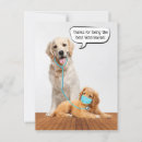 Search for veterinary cards Animal