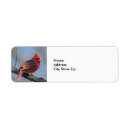 Search for northern cardinal return address labels Cardinalis cardinalis