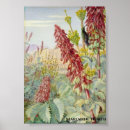Search for touches posters Flowers