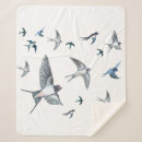 Search for flocks Swallows