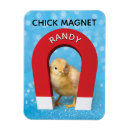 Search for funny magnets Humour