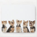 Search for teamwork mousepads Connection