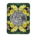 Search for beetles magnets Nature