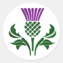 Search for scotch stickers Thistle