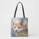 Search for lay bags Pet