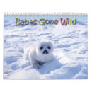 Search for seal calendars Animals