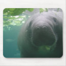 Search for manatee mousepads Cute