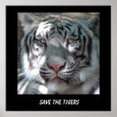 Search for save tiger posters Save the tigers