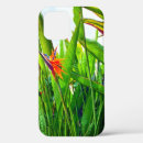 Search for strelitzia iphone cases Bird of paradise