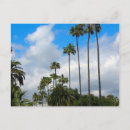 Search for palmtree postcards Nature