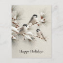 Search for chickadee postcards Winter