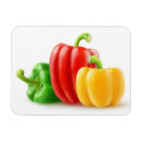 Search for bell pepper magnets Vegetables
