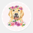 Search for golden retriever dog stickers Birthday