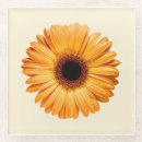 Search for gerbera daisy coasters Bouquet