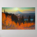 Search for larry ditto posters Environment