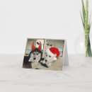 Search for good and bad cards Naughty or nice