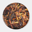 Search for grasshopper magnets Funny
